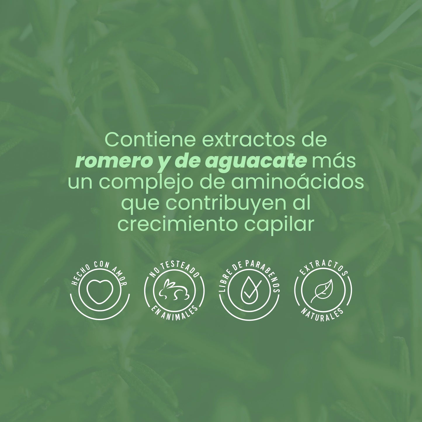 Bioterapia Capilar de Romero 300 ml Anyeluz