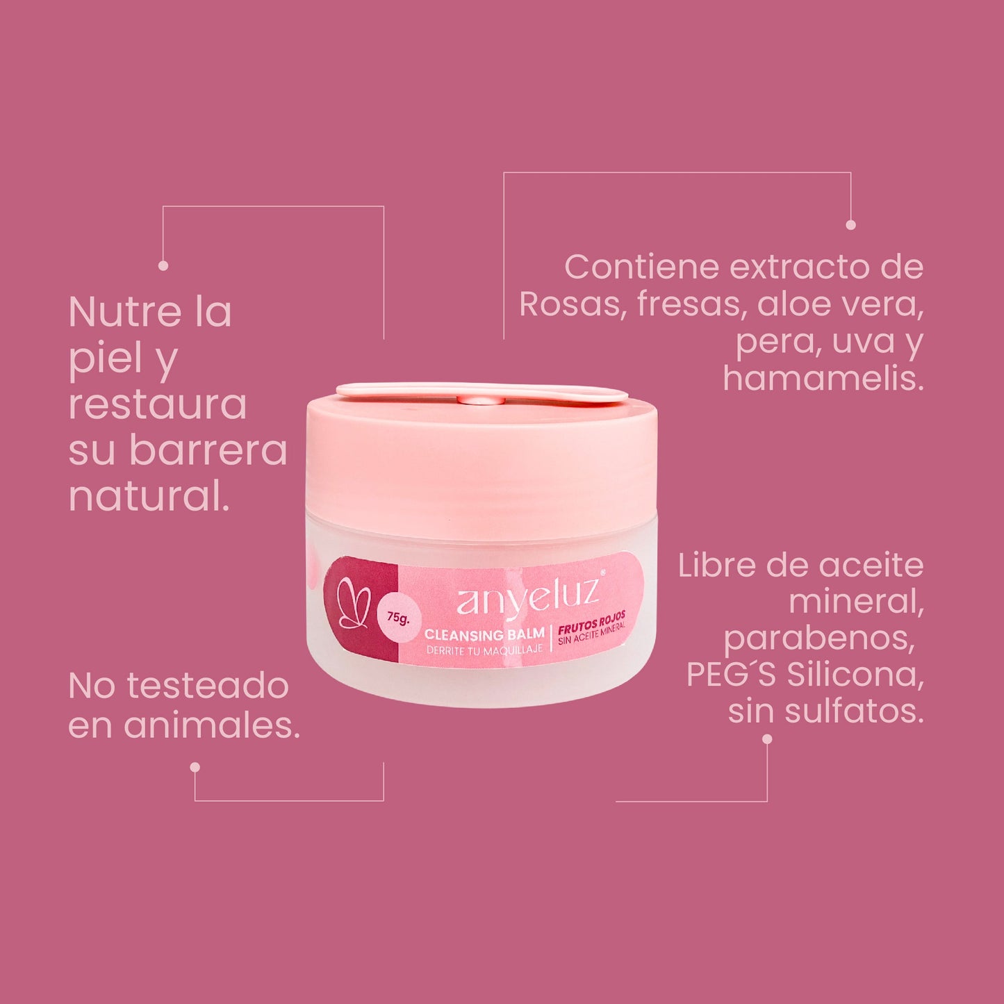 Desmaquillador (Cleansing Balm) 75 g Anyeluz