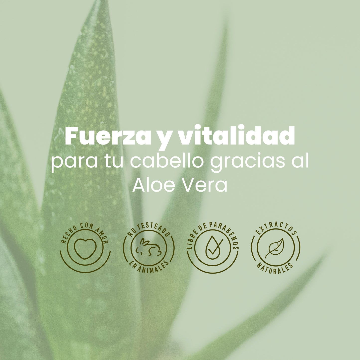 Shampoo Aloe Vera 500 ml Anyeluz