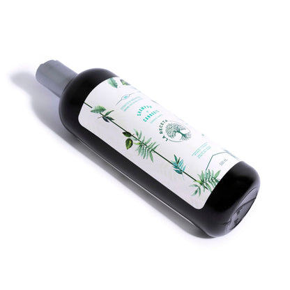 Shampoo de Argán para Cabello Seco La Receta CBD Kaba 500 ML