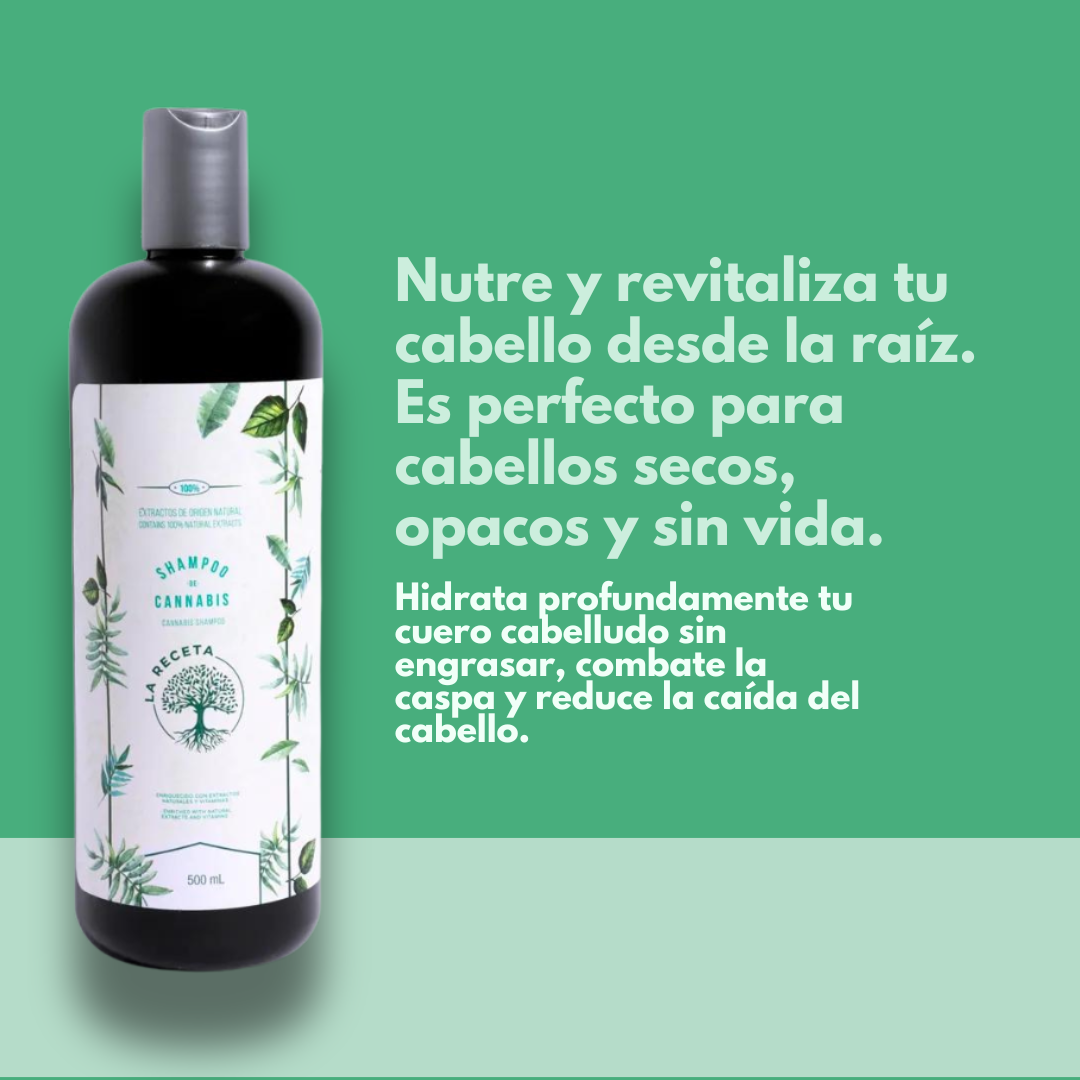 Shampoo de Argán para Cabello Seco La Receta CBD Kaba 500 ML