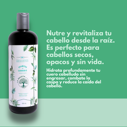 Shampoo de Argán para Cabello Seco La Receta CBD Kaba 500 ML