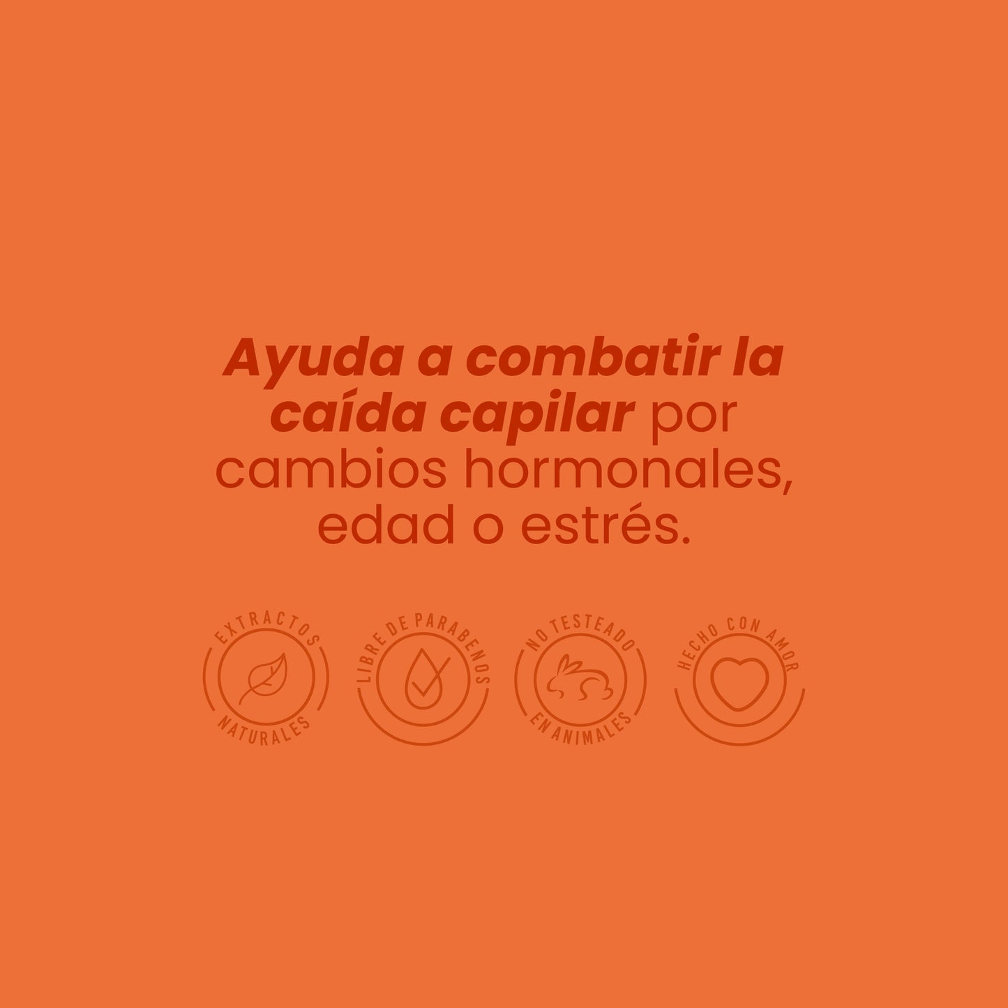 Shampoo con Ginseng 500 ml Anyeluz