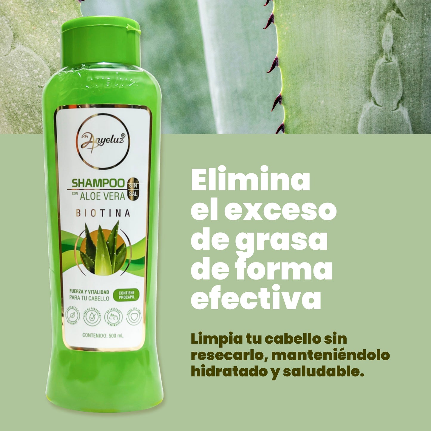 Shampoo Aloe Vera 500 ml Anyeluz