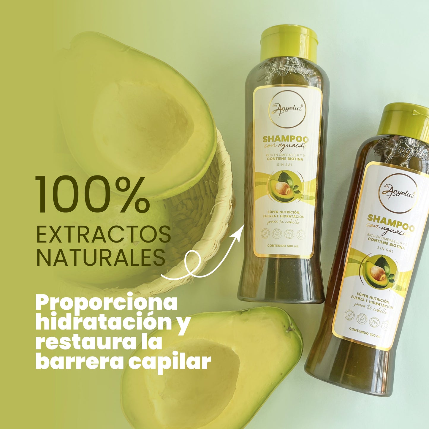 Shampoo con Aguacate 500 ml Anyeluz
