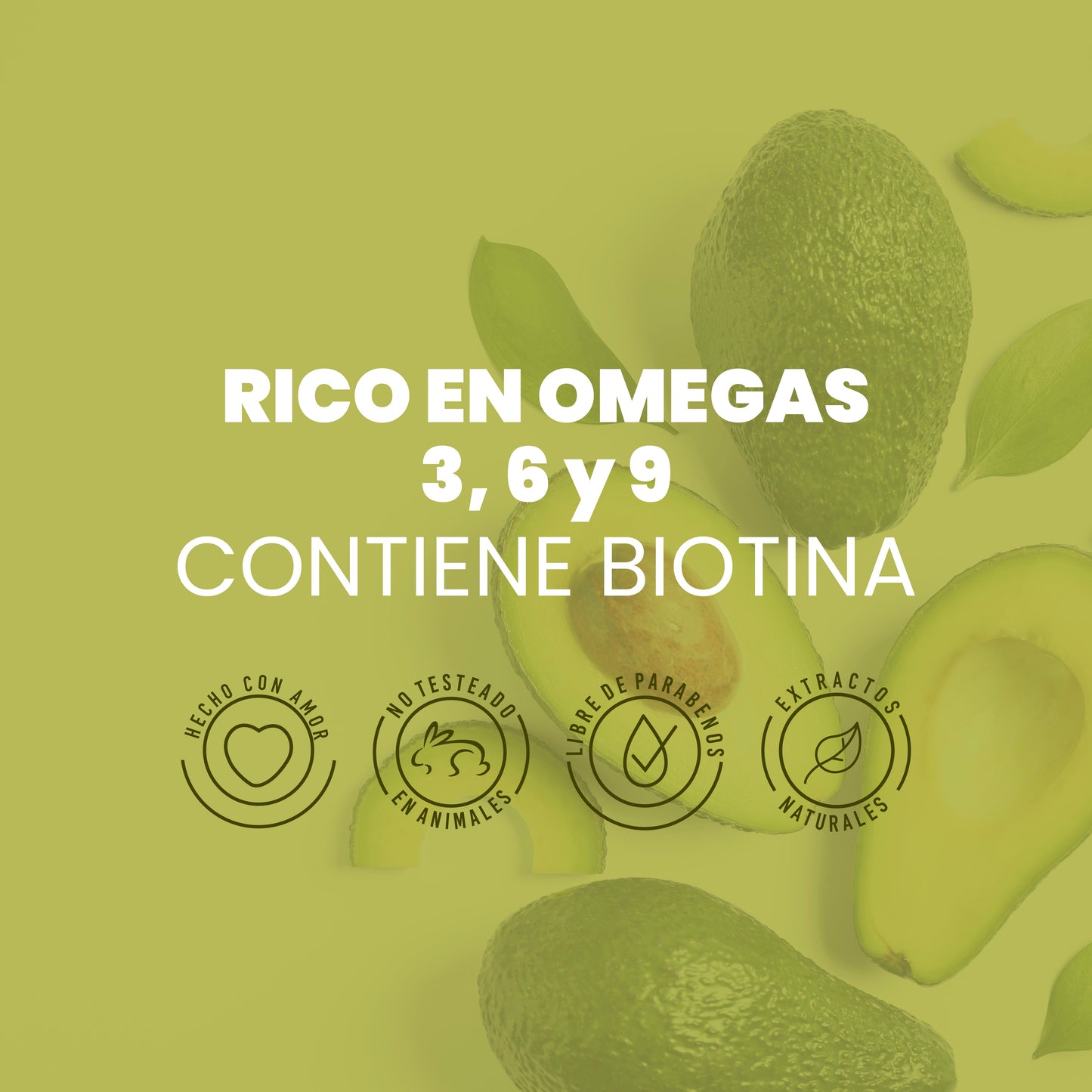 Shampoo con Aguacate 500 ml Anyeluz