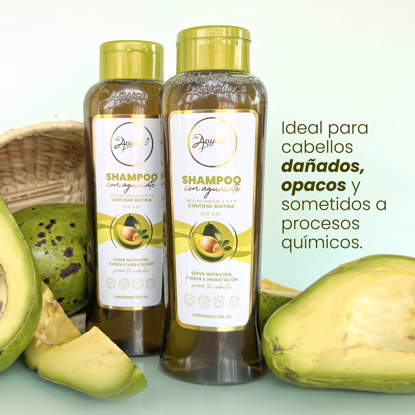 Shampoo con Aguacate 500 ml Anyeluz