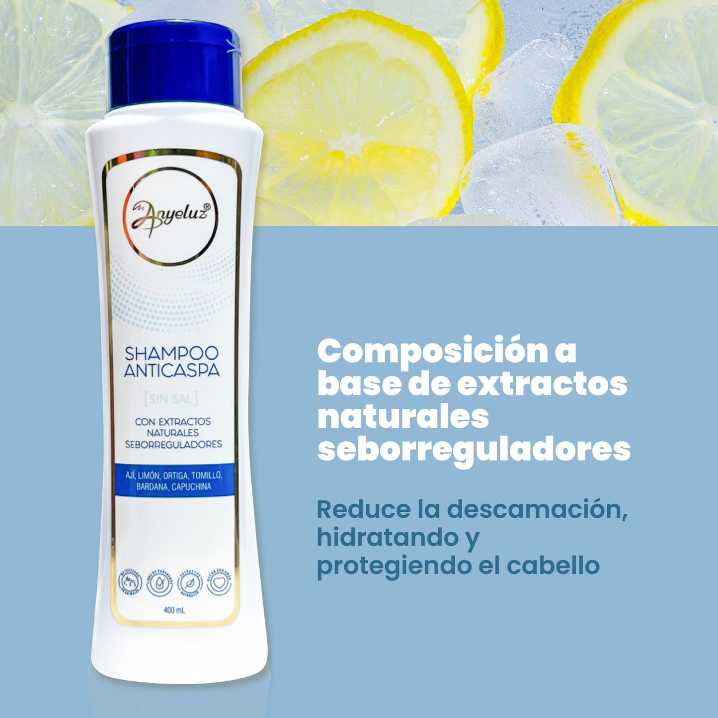 Shampoo Anticaspa 500 ml Anyeluz