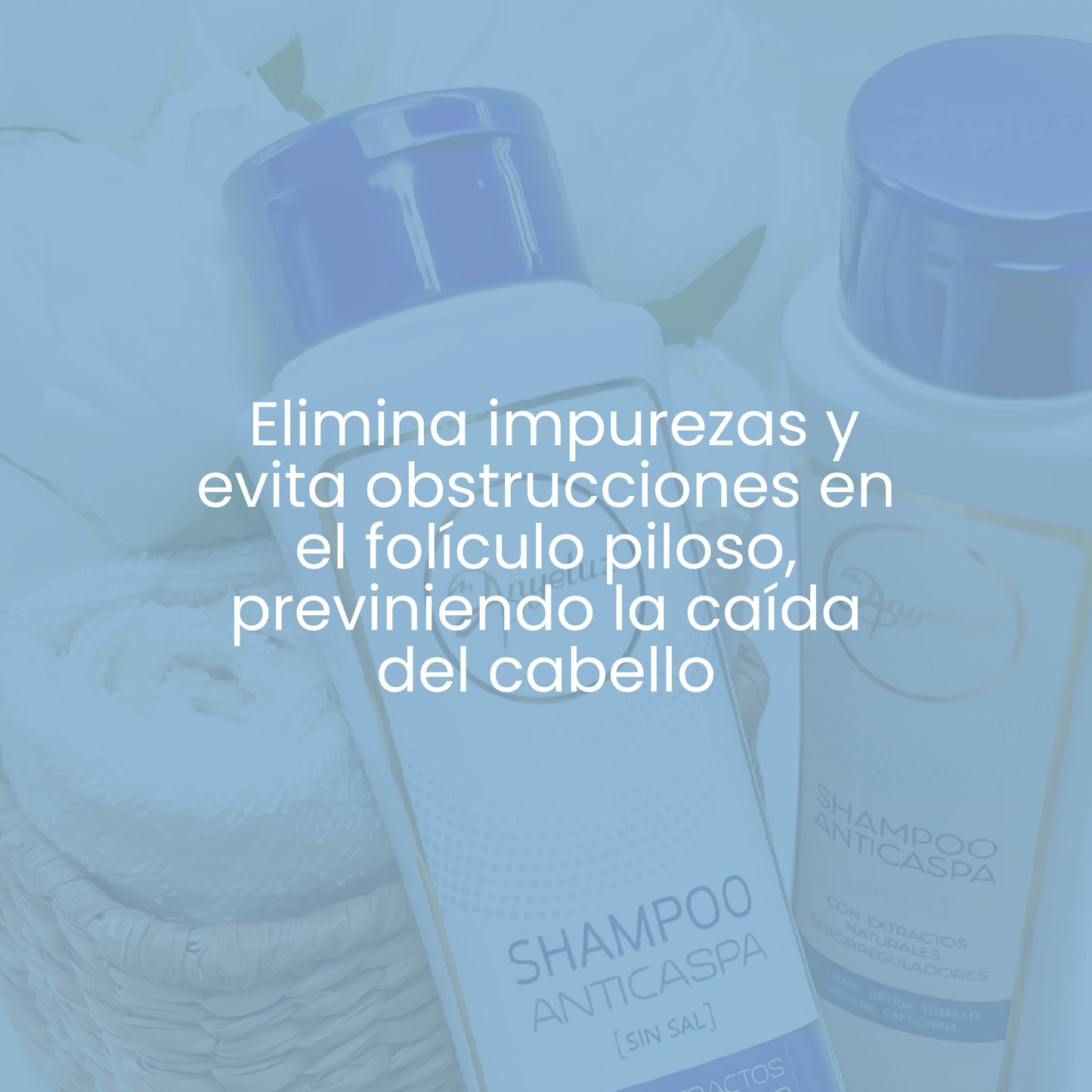 Shampoo Anticaspa 500 ml Anyeluz