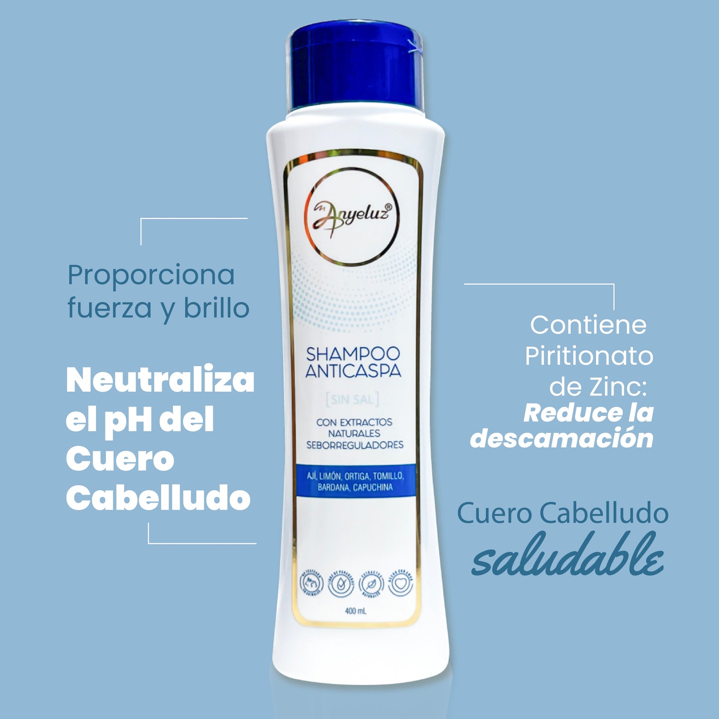 Shampoo Anticaspa 500 ml Anyeluz