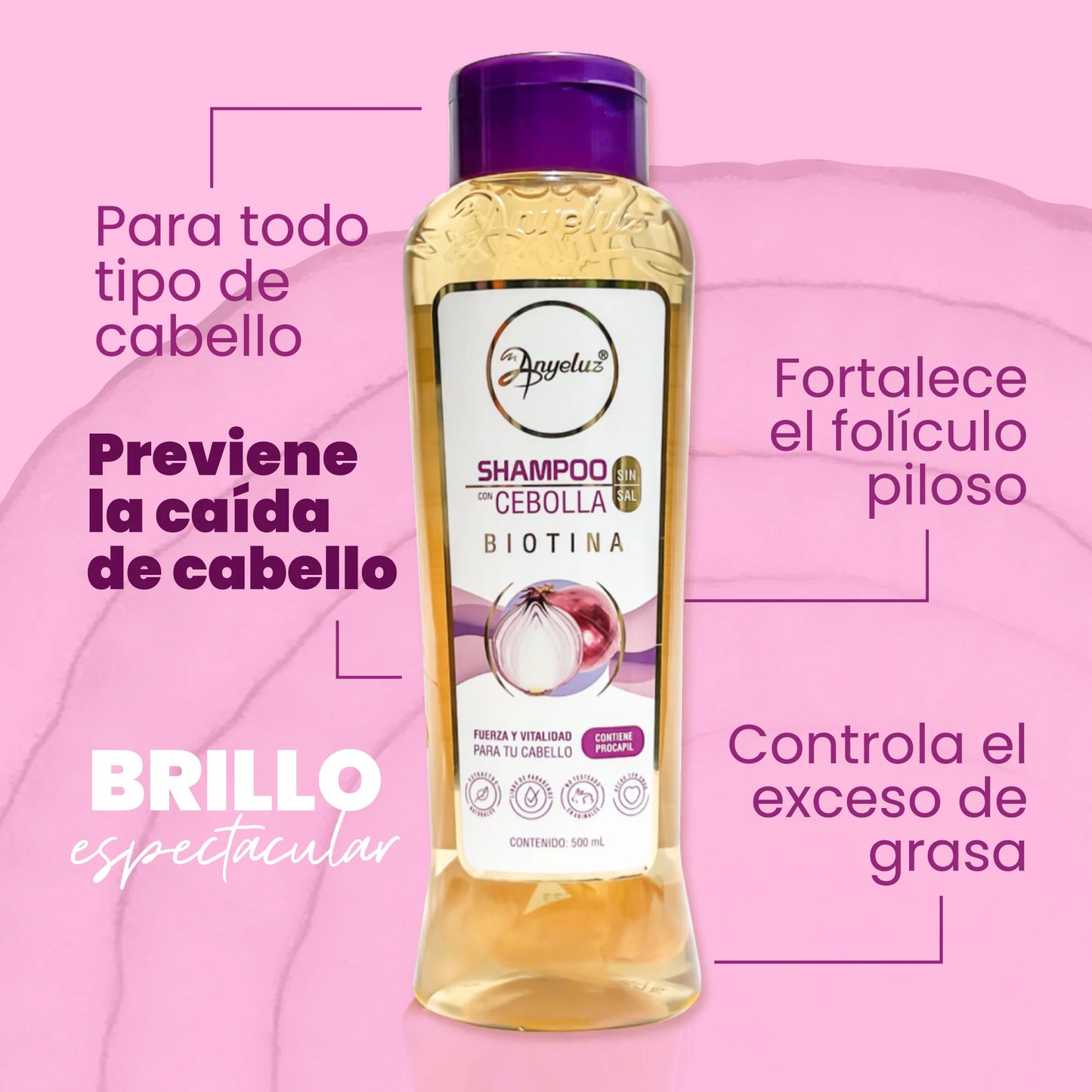 Kit de Cebolla