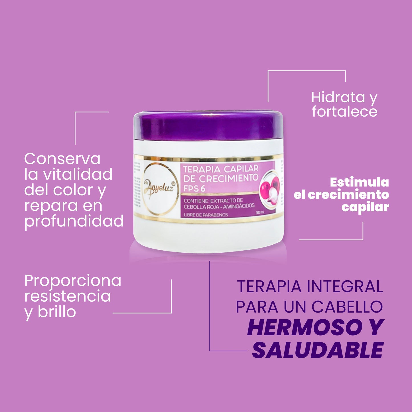 Kit de Cebolla